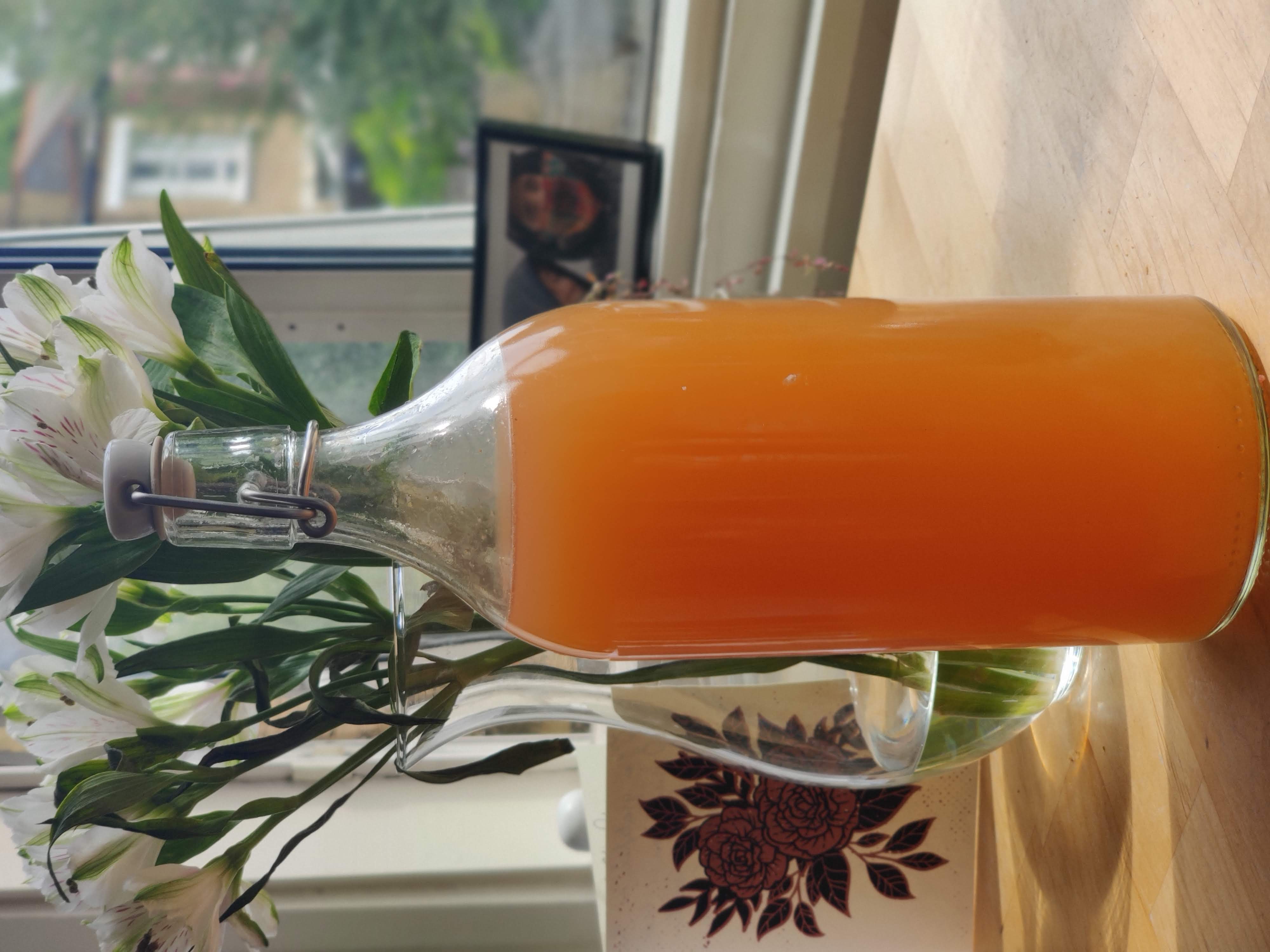 Fermented Grapefruit Soda